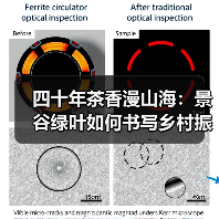 四十年茶香漫山海:景谷绿叶如何书写乡村振兴新篇章?(图1) 四十年茶香漫山海:景谷绿叶如何书写乡村振兴新篇章?(图1)