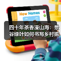 四十年茶香漫山海:景谷绿叶如何书写乡村振兴新篇章?(图3) 四十年茶香漫山海:景谷绿叶如何书写乡村振兴新篇章?(图3)