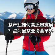 茶产业如何高质量发展?勐海县茶业协会举办技能培训交流会(图2) 茶产业如何高质量发展?勐海县茶业协会举办技能培训交流会(图2)