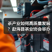 茶产业如何高质量发展?勐海县茶业协会举办技能培训交流会(图1) 茶产业如何高质量发展?勐海县茶业协会举办技能培训交流会(图1)