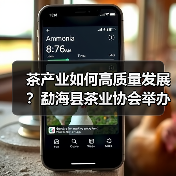 茶产业如何高质量发展?勐海县茶业协会举办技能培训交流会(图3) 茶产业如何高质量发展?勐海县茶业协会举办技能培训交流会(图3)