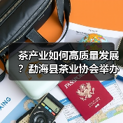 茶产业如何高质量发展?勐海县茶业协会举办技能培训交流会(图4) 茶产业如何高质量发展?勐海县茶业协会举办技能培训交流会(图4)