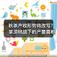 秋茶产收形势将改写?旱涝挑战下的产量真相(图1) 秋茶产收形势将改写?旱涝挑战下的产量真相(图1)