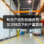 秋茶产收形势将改写?旱涝挑战下的产量真相(图3) 秋茶产收形势将改写?旱涝挑战下的产量真相(图3)