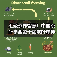 汇聚茶界智慧!中国茶叶学会第十届茶叶审评研究学术沙龙召开(图1) 汇聚茶界智慧!中国茶叶学会第十届茶叶审评研究学术沙龙召开(图1)