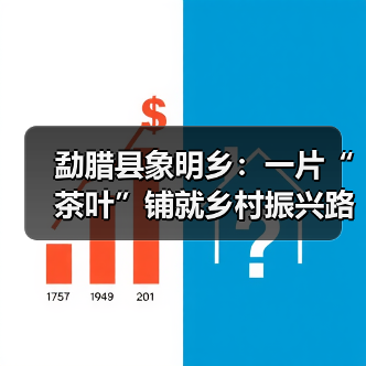 勐腊县象明乡:一片“茶叶”铺就乡村振兴路(图2) 勐腊县象明乡:一片“茶叶”铺就乡村振兴路(图2)
