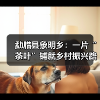 勐腊县象明乡:一片“茶叶”铺就乡村振兴路(图1) 勐腊县象明乡:一片“茶叶”铺就乡村振兴路(图1)