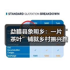 勐腊县象明乡:一片“茶叶”铺就乡村振兴路(图4) 勐腊县象明乡:一片“茶叶”铺就乡村振兴路(图4)