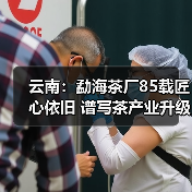 云南:勐海茶厂85载匠心依旧 谱写茶产业升级新篇章(图1) 云南:勐海茶厂85载匠心依旧 谱写茶产业升级新篇章(图1)