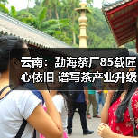 云南:勐海茶厂85载匠心依旧 谱写茶产业升级新篇章(图4) 云南:勐海茶厂85载匠心依旧 谱写茶产业升级新篇章(图4)