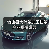 竹山县大叶茶加工助茶产业提质增效(图1) 竹山县大叶茶加工助茶产业提质增效(图1)