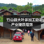 竹山县大叶茶加工助茶产业提质增效(图3) 竹山县大叶茶加工助茶产业提质增效(图3)