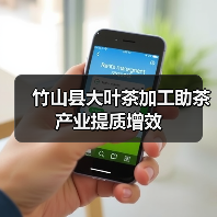 竹山县大叶茶加工助茶产业提质增效(图4) 竹山县大叶茶加工助茶产业提质增效(图4)