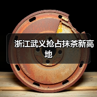 浙江武义抢占抹茶新高地(图3) 浙江武义抢占抹茶新高地(图3)