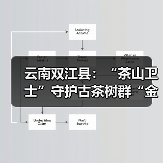云南双江县:“茶山卫士”守护古茶树群“金叶子”(图2) 云南双江县:“茶山卫士”守护古茶树群“金叶子”(图2)