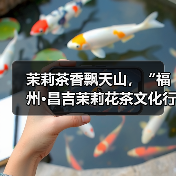 茉莉茶香飘天山,“福州·昌吉茉莉花茶文化行”在新疆昌吉启动(图3) 茉莉茶香飘天山,“福州·昌吉茉莉花茶文化行”在新疆昌吉启动(图3)