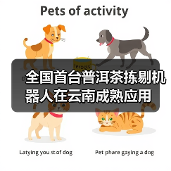 全国首台普洱茶拣剔机器人在云南成熟应用(图1) 全国首台普洱茶拣剔机器人在云南成熟应用(图1)