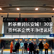 黔茶香润长安城!30家贵州茶企携干净佳茗拓展西北市场(图3) 黔茶香润长安城!30家贵州茶企携干净佳茗拓展西北市场(图3)