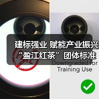建标强业 赋能产业振兴“盈江红茶”团体标准正式发布(图4) 建标强业 赋能产业振兴“盈江红茶”团体标准正式发布(图4)