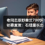 老同志原野香兰700饼钜惠宣发：石缝里长出的兰香（图1）