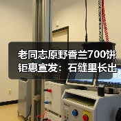 老同志原野香兰700饼钜惠宣发：石缝里长出的兰香（图2）