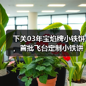 下关03年宝焰牌小铁饼,首批飞台定制小铁饼,呈现经典勐海味(图2) 下关03年宝焰牌小铁饼,首批飞台定制小铁饼,呈现经典勐海味(图2)