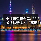 千年银杏映壶舞，非遗茶技绽新枝 ：“蒙顶山杯”首届中国（四川）长嘴铜壶舞林大会决赛圆满收官（图2）