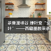 茶香漫峡谷 绿叶变“金叶”——西藏墨脱采茶人劳务品牌的2025年答卷(图4) 茶香漫峡谷 绿叶变“金叶”——西藏墨脱采茶人劳务品牌的2025年答卷(图4)