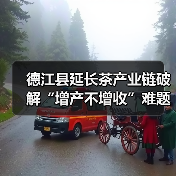 德江县延长茶产业链破解“增产不增收”难题（图3）
