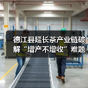 德江县延长茶产业链破解“增产不增收”难题（图4）