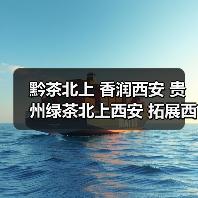 黔茶北上 香润西安 贵州绿茶北上西安 拓展西北市场(图3) 黔茶北上 香润西安 贵州绿茶北上西安 拓展西北市场(图3)