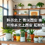 黔茶北上 香润西安 贵州绿茶北上西安 拓展西北市场(图4) 黔茶北上 香润西安 贵州绿茶北上西安 拓展西北市场(图4)