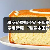 雅安茶香飘长安 千年贡茶启新篇 “雅茶中国行·走进西安”专场推介活动圆满成功(图3) 雅安茶香飘长安 千年贡茶启新篇 “雅茶中国行·走进西安”专场推介活动圆满成功(图3)