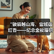 “骏眉越山海,雪域蕴红香——纪念金骏眉研发20周年暨溯源西藏察隅红茶原产地之旅”举行(图2) “骏眉越山海,雪域蕴红香——纪念金骏眉研发20周年暨溯源西藏察隅红茶原产地之旅”举行(图2)