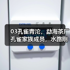 03孔雀青沱，勐海茶厂孔雀家族成员，水路刚劲不失细腻（图3）