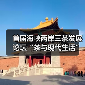 首届海峡两岸三茶发展论坛“茶与现代生活”召开(图4) 首届海峡两岸三茶发展论坛“茶与现代生活”召开(图4)