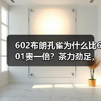 602布朗孔雀为什么比601贵一倍？茶力劲足，烟香厚重，潜力好茶（图1）