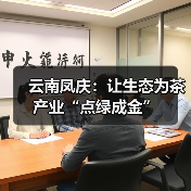 云南凤庆：让生态为茶产业“点绿成金”（图2）