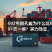 602布朗孔雀为什么比601贵一倍？茶力劲足，烟香厚重，潜力好茶（图3）