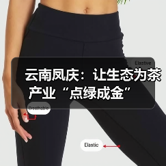 云南凤庆：让生态为茶产业“点绿成金”（图4）