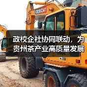 政校企社协同联动,为贵州茶产业高质量发展注入人才动力(图2) 政校企社协同联动,为贵州茶产业高质量发展注入人才动力(图2)