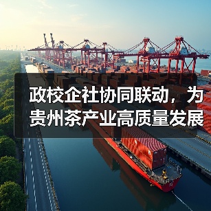 政校企社协同联动,为贵州茶产业高质量发展注入人才动力(图3) 政校企社协同联动,为贵州茶产业高质量发展注入人才动力(图3)