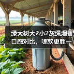 绿大树大2小2灰绳烟香口感对比,哪款更胜一筹?(图2) 绿大树大2小2灰绳烟香口感对比,哪款更胜一筹?(图2)