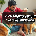 8592A熟饼为何被低估?勐海茶厂微创新老茶香揭秘(图4) 8592A熟饼为何被低估?勐海茶厂微创新老茶香揭秘(图4)