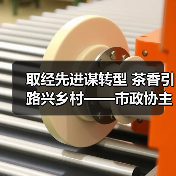 取经先进谋转型 茶香引路兴乡村——市政协主席王爱民带队赴鄂渝两地考察茶产业发展（图3）