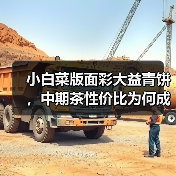 小白菜版面彩大益青饼,中期茶性价比为何成战神?(图2) 小白菜版面彩大益青饼,中期茶性价比为何成战神?(图2)