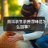 普洱茶生茶苦涩味是怎么回事?(图3) 普洱茶生茶苦涩味是怎么回事?(图3)