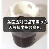茶园应对低温雨雪冰冻天气技术指导意见(图2) 茶园应对低温雨雪冰冻天气技术指导意见(图2)
