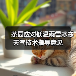 茶园应对低温雨雪冰冻天气技术指导意见(图4) 茶园应对低温雨雪冰冻天气技术指导意见(图4)