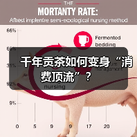 千年贡茶如何变身“消费顶流”？（图2）